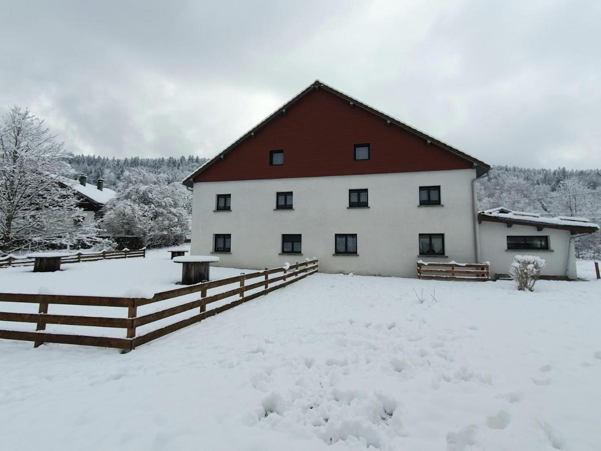 Appart Le Cerf 4 Etoiles 74M2 Cornimont Exterior foto